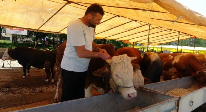  Ülke genelinde tüm hayvan pazarları kapatıldı